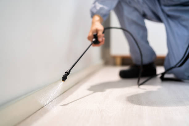 Certified termite inspector examining foundation in Loganville