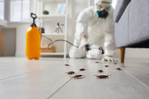 Commercial Kitchen Cockroach Control in Loganville